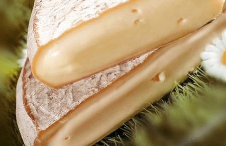 又酸又臭的坏了的奶酪,又臭又香的奶酪