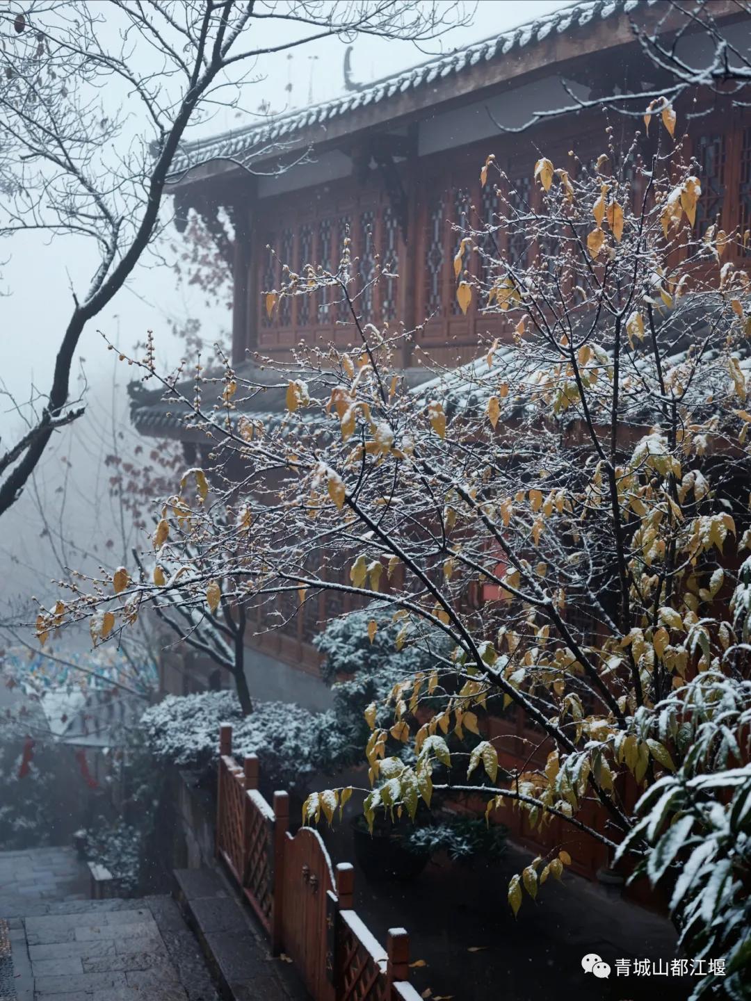 无雪不成冬,都江堰玩雪一日游