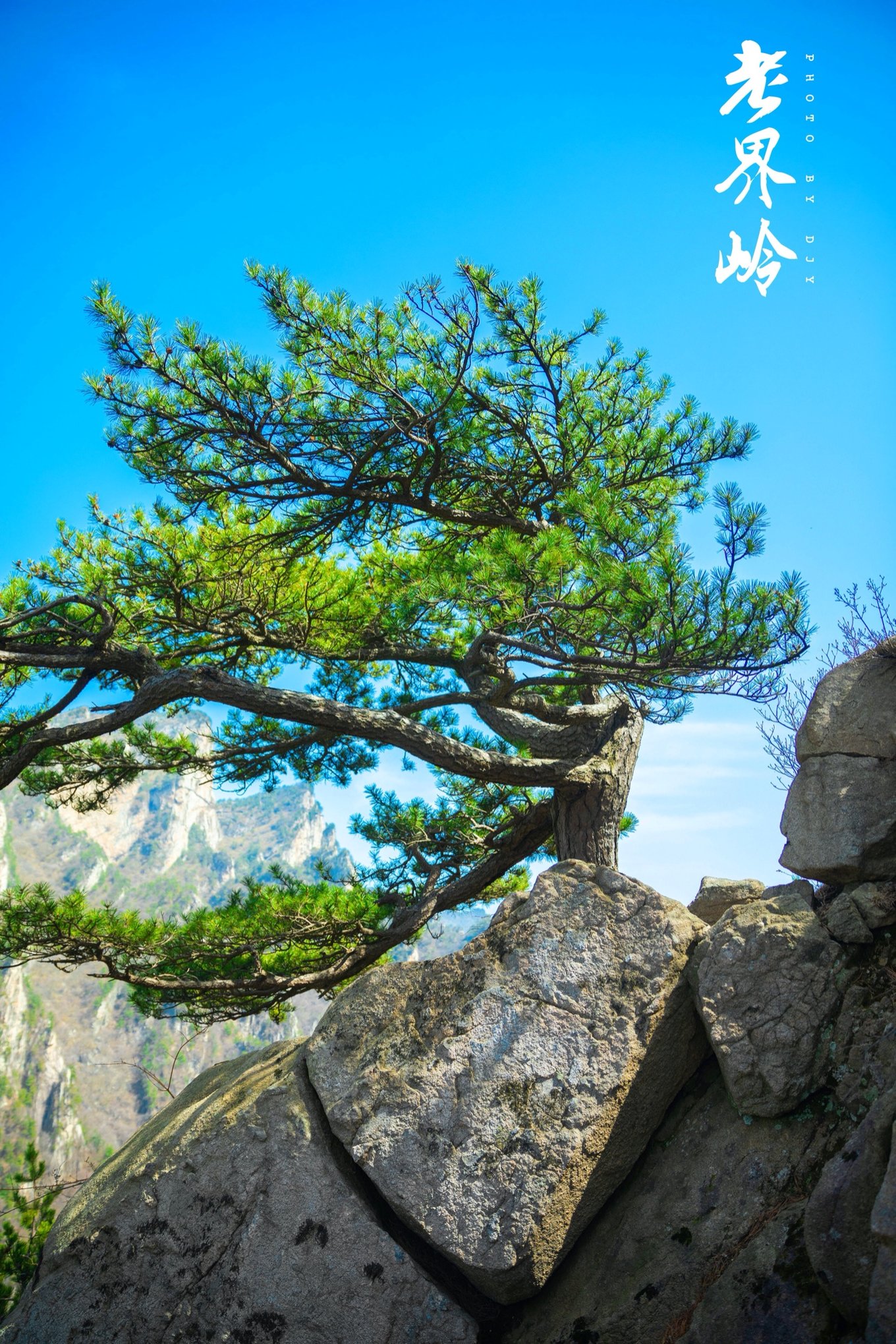 游览老界岭的感悟,河南老界岭景区