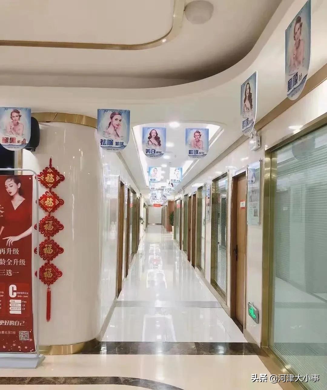 王小波：杏林报春独一枝