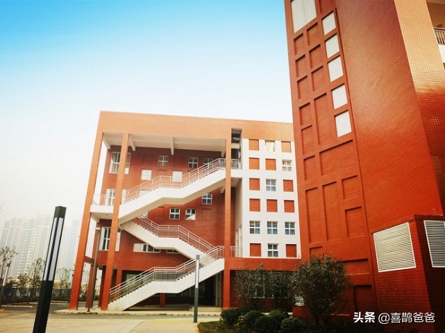 郑州外国语中学初中实验视频,郑州外国语初中和郑州实验外国语