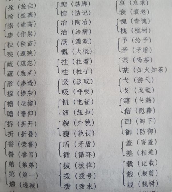 小升初语文知识复习——汉字(二)