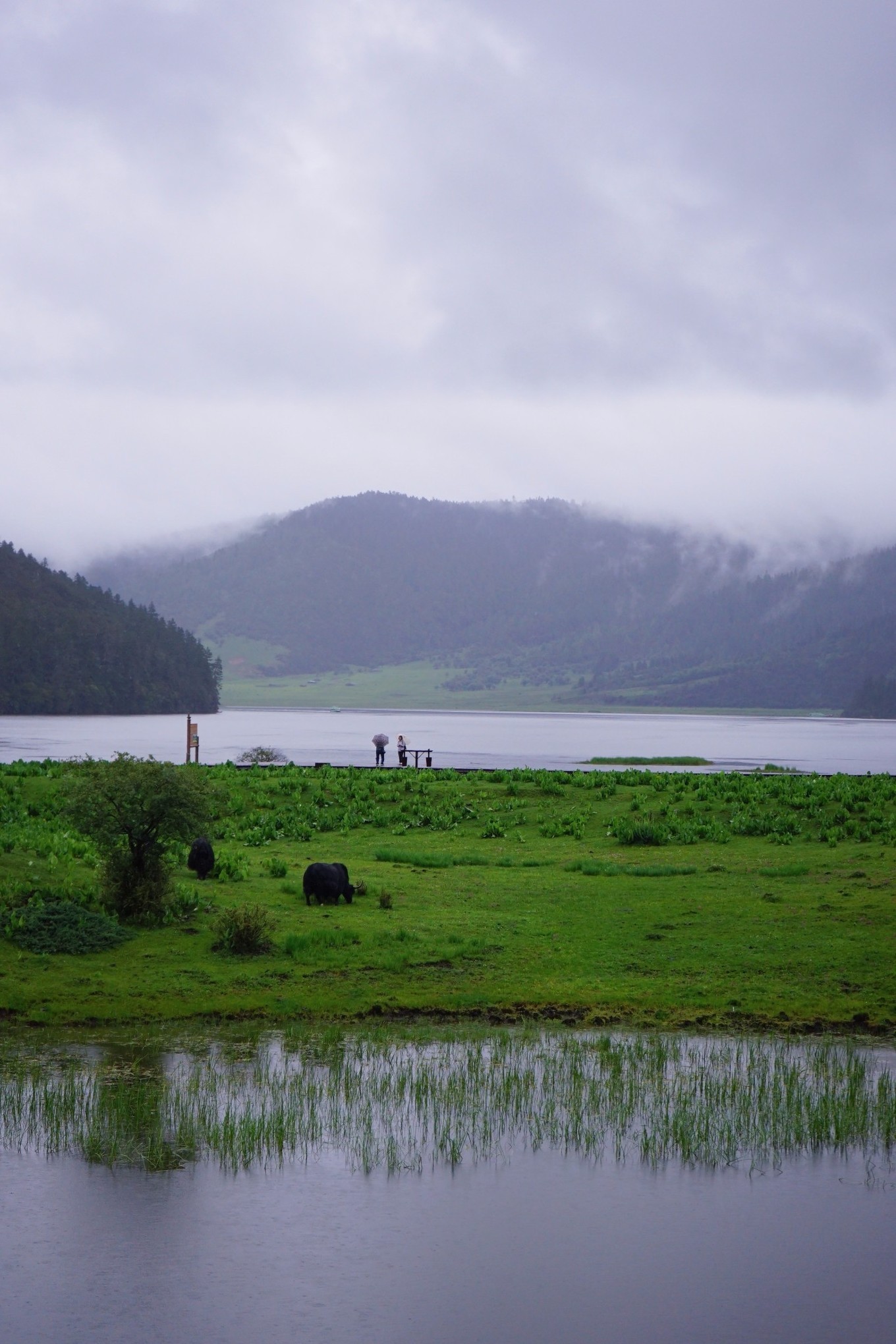 云南治愈旅行攻略,云南慢生活旅游推荐