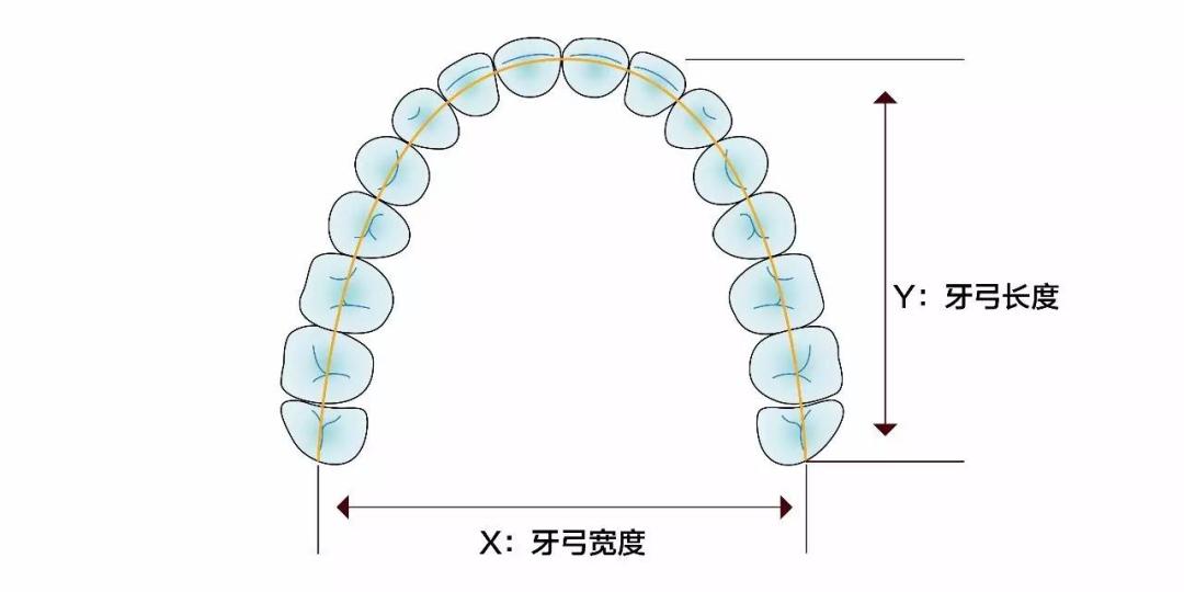 你笑起来真好看三个动作,你笑起来才是最好看的