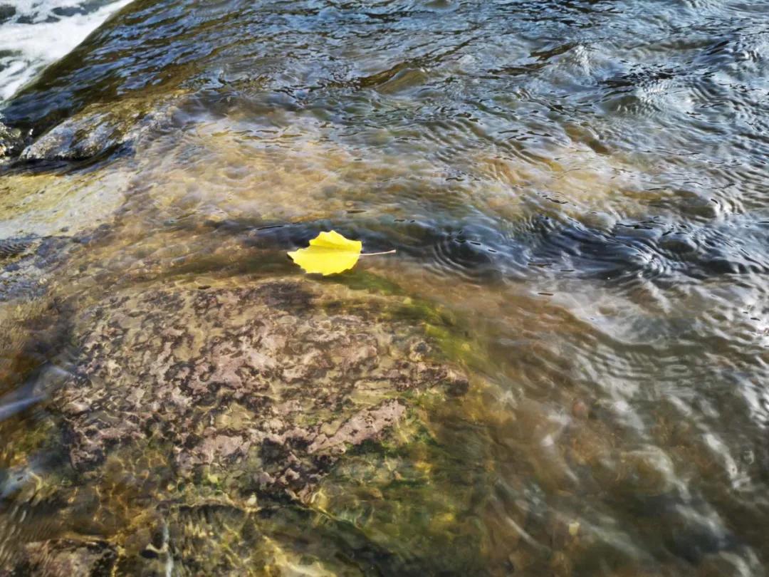 张家口市洋河河道,洋河风景