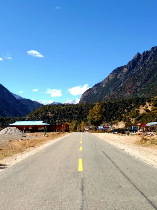 钘忚タ涔嬫梾,瑗胯棌涔嬭