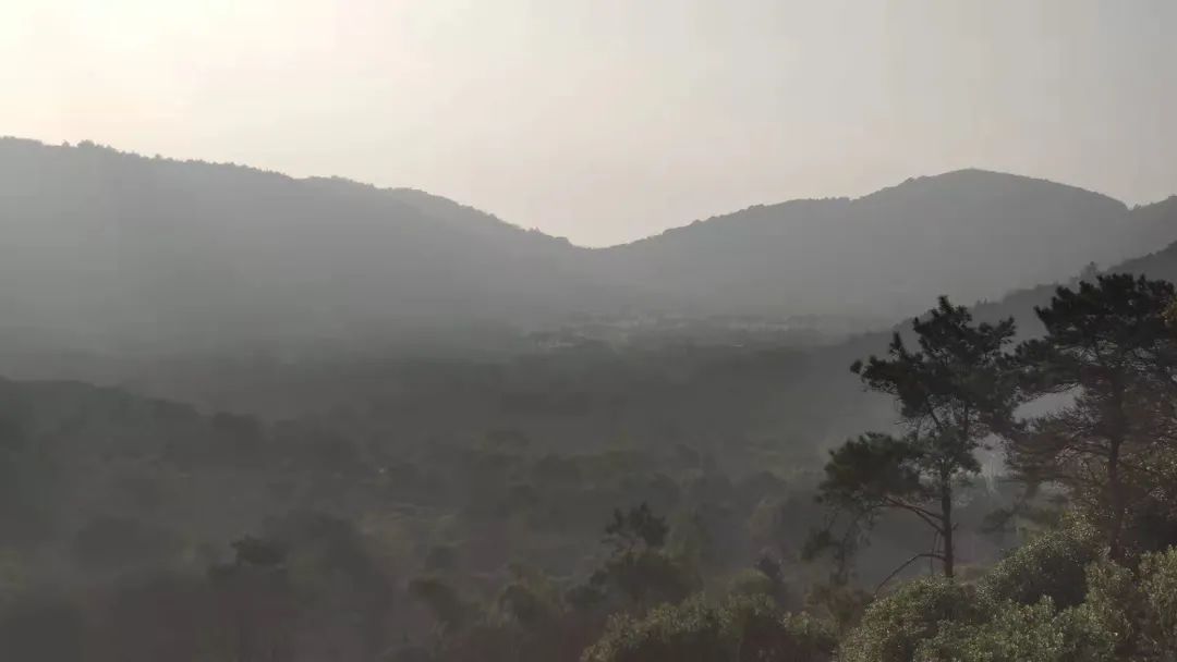 苏州小众却很棒的地方,五一来苏州必去的打卡地