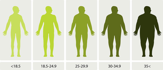 肌酐升高是肾已经严重受损了吗,男性血肌酐88算肾功能受损吗