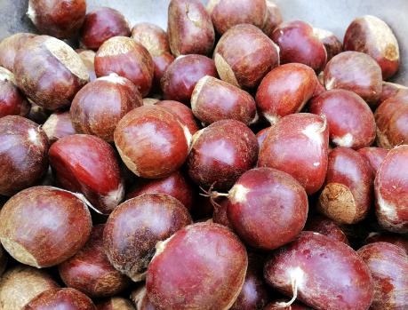 生板栗快速剥壳,生板栗快速剥壳的窍门