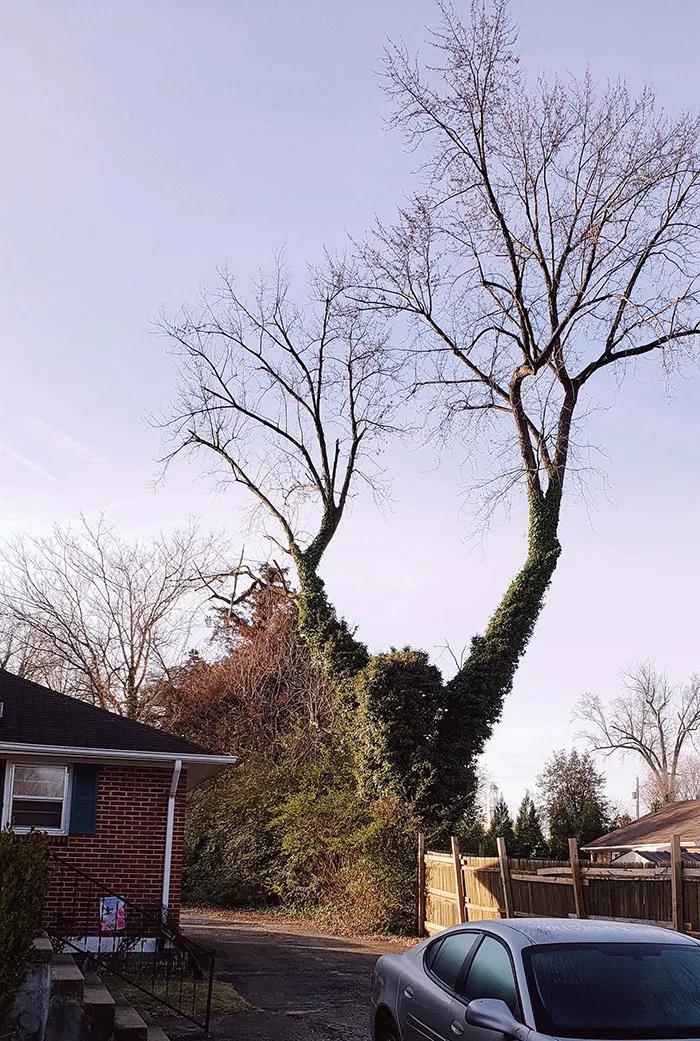 神奇的大自然巧合图片,大自然的神奇巧合惊人的史前文明