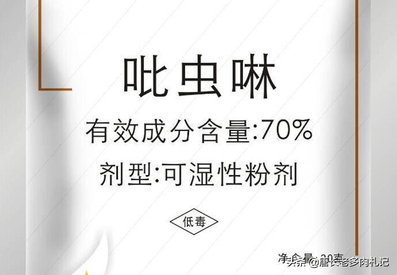 花盆里的小黑飞根除绝招,花盆小黑飞怎么消灭最彻底