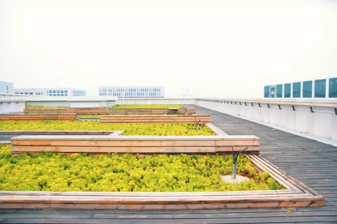 武汉最近哪所大学要搬新校区,武汉重点高中新校区