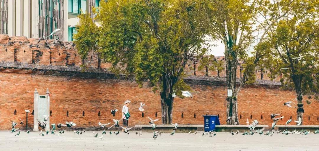 在清迈逛夜市感受泰国人慢生活,去清迈享受放下脚步的慢生活