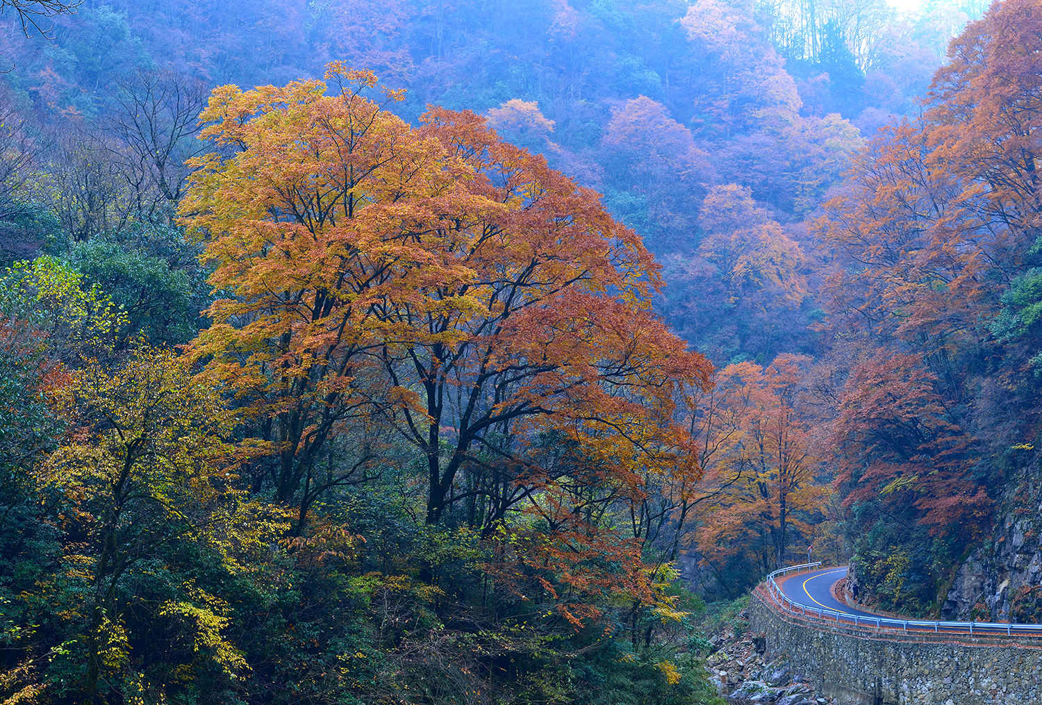 巴中光雾山红叶的最佳时间,红叶谷打卡地