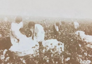 南通改革开放40年变化,改革开放40周年南京发展