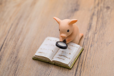 英语基础差怎么备考雅思6.5分,首战雅思零基础