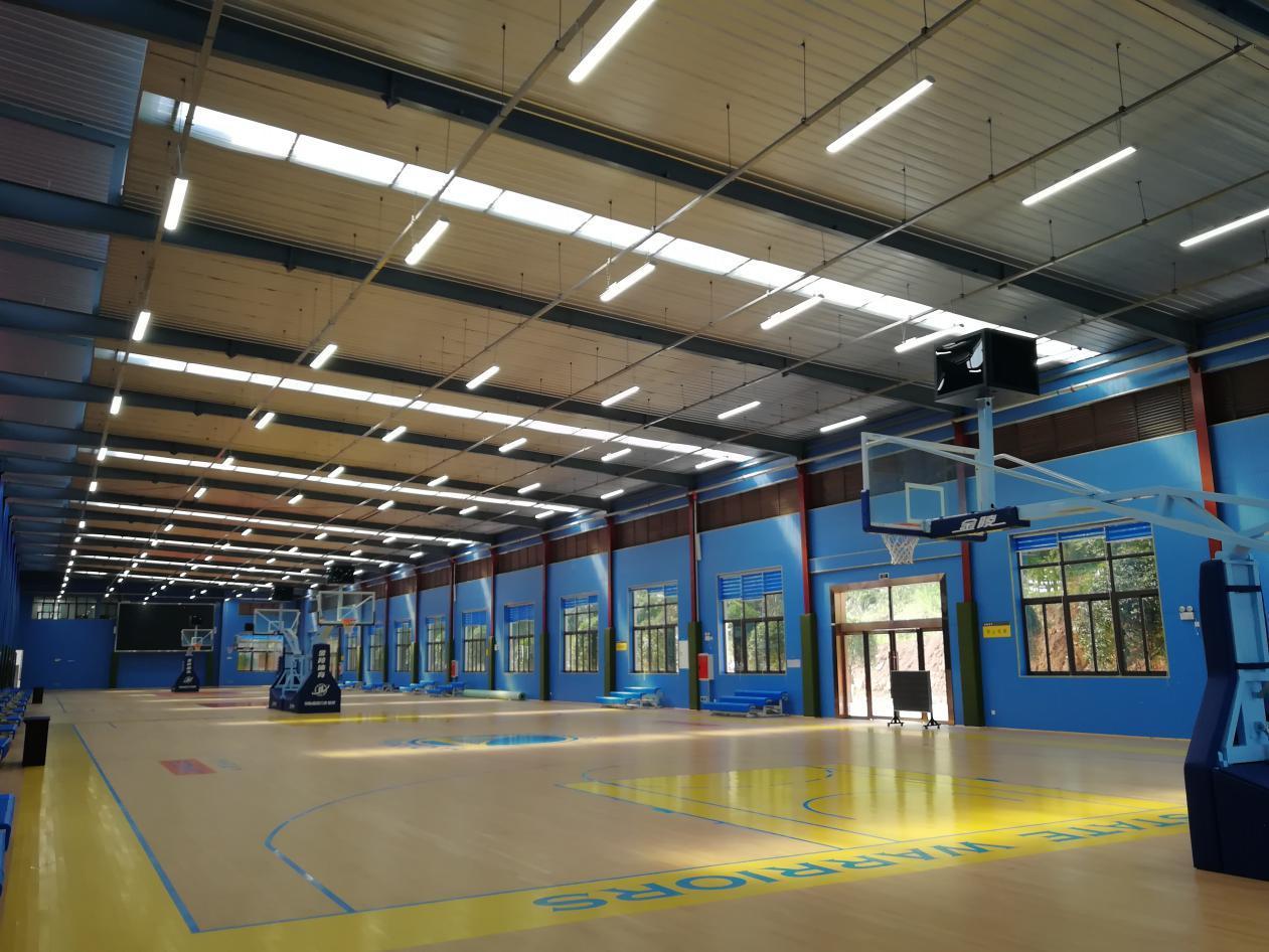 大加索尔的资料,大加索尔到底是什么水平