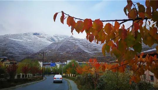 四川21市房价：2市超过1万元／㎡，宜宾不敌广元，巴中市最低