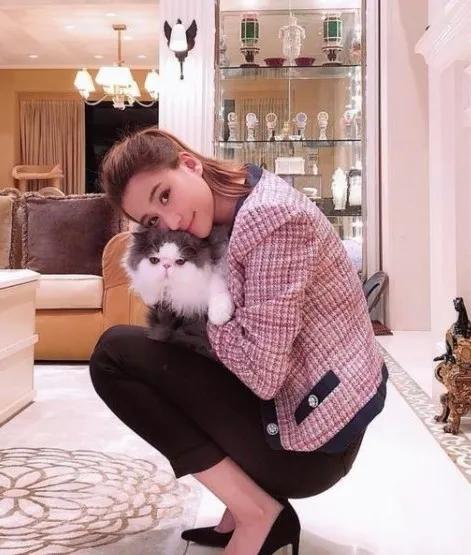 许家印香港豪宅被标售,许家印香港山顶豪宅有多大