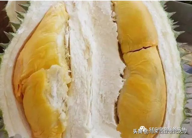 马来西亚榴莲品种大全,马来西亚d14榴莲是什么品种