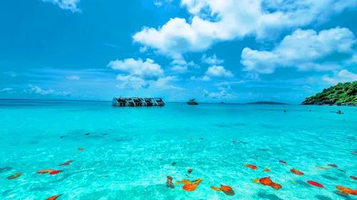 潜水证怎么考初级,如何考取潜水执照