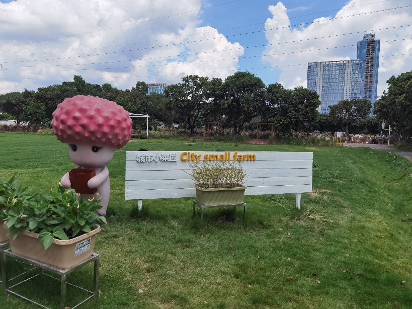 广州好玩的亲子农场,亲子农场广州