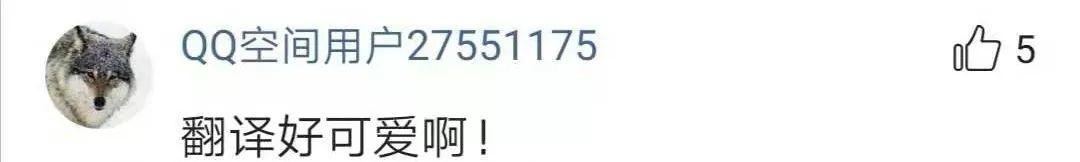 翻译类专业的吸引力和可行性,翻译领域有哪些