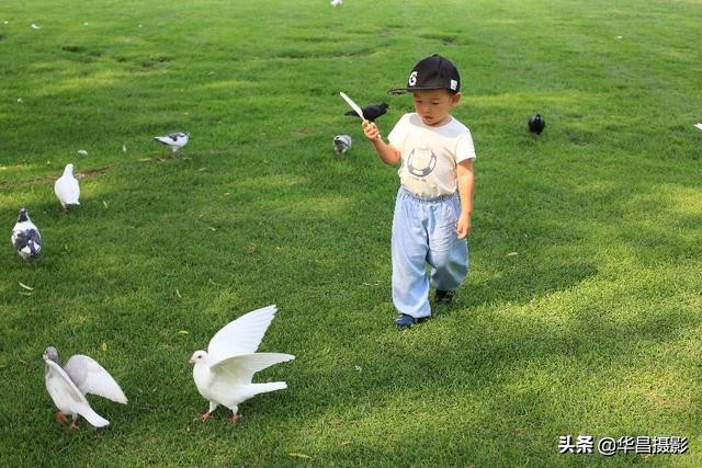 北京紫玉山庄有什么好玩的,紫玉山庄旅游度假