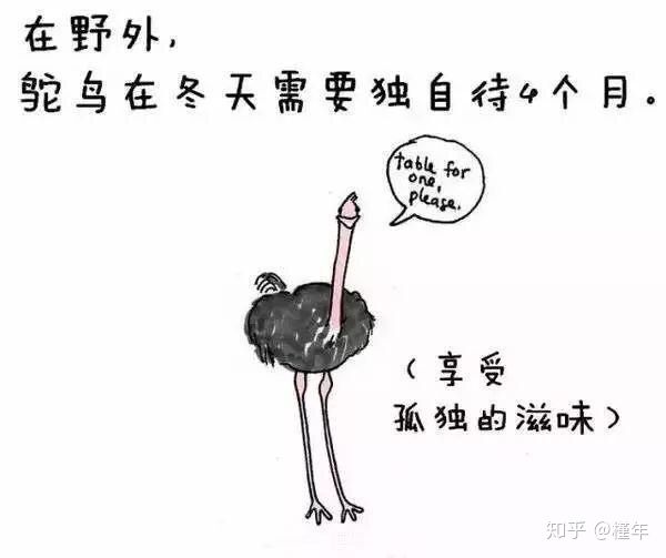 想象中不一样的动物冷知识,悲伤的动物视频