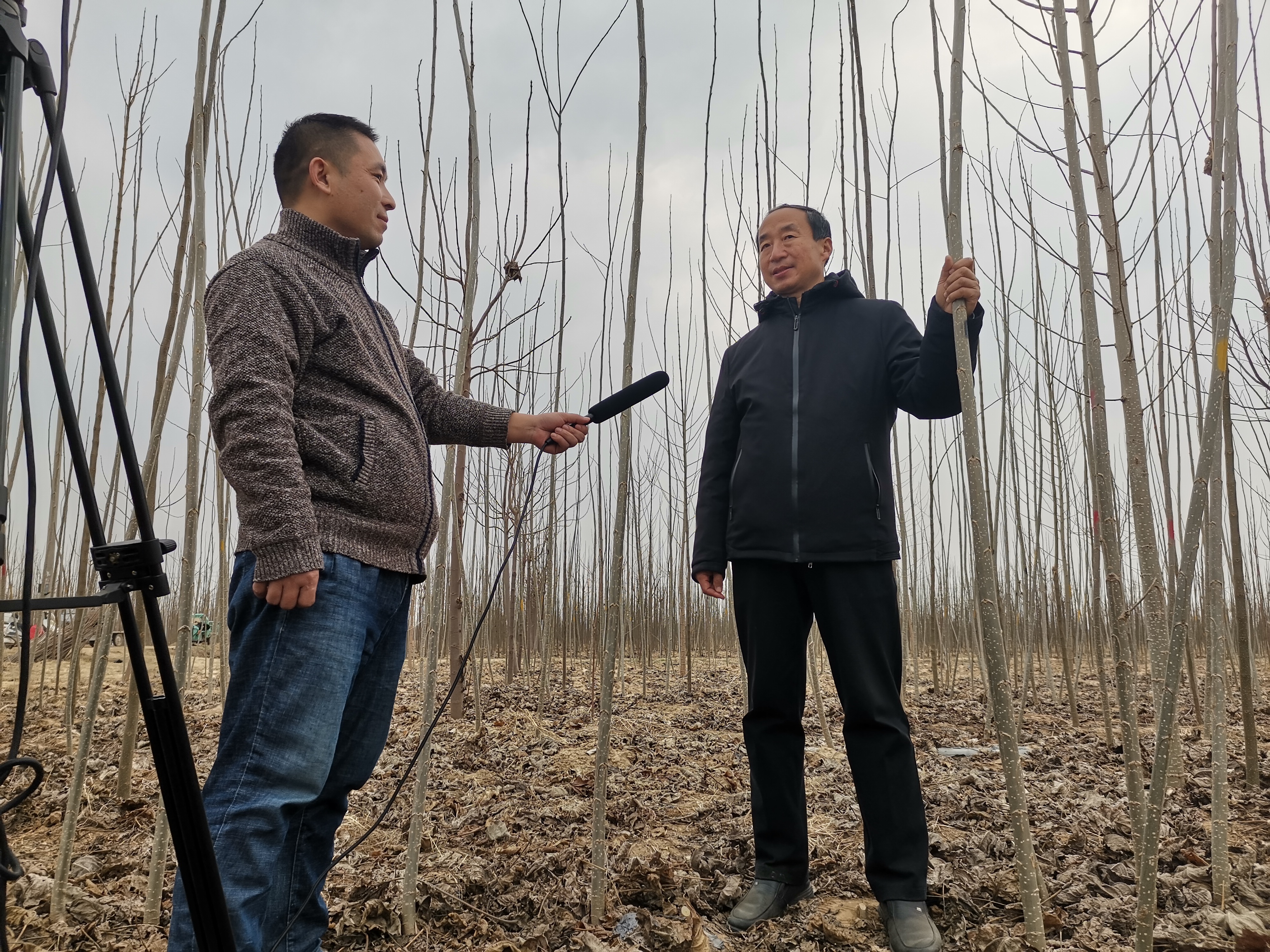 筑牢生态屏障,筑牢生态屏障守护美好家园