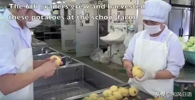 日本无情到令人恐惧的教育,日本教育的优点和缺点