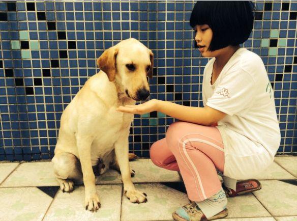 狗狗晚上老是叫该怎么办,狗狗晚上总是叫怎么训练