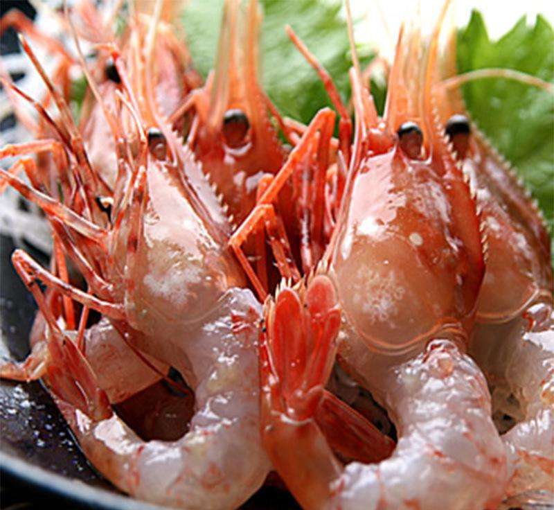 雪蛤建议每天吃吗,吃雪蛤早晨吃还是晚上吃