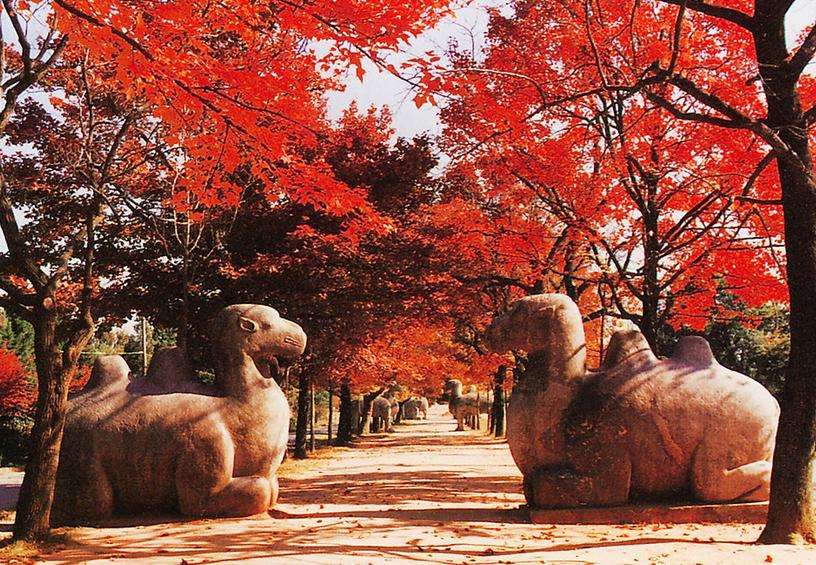 古人是怎么看墓地风水,怎么看古代墓地风水最准的方法