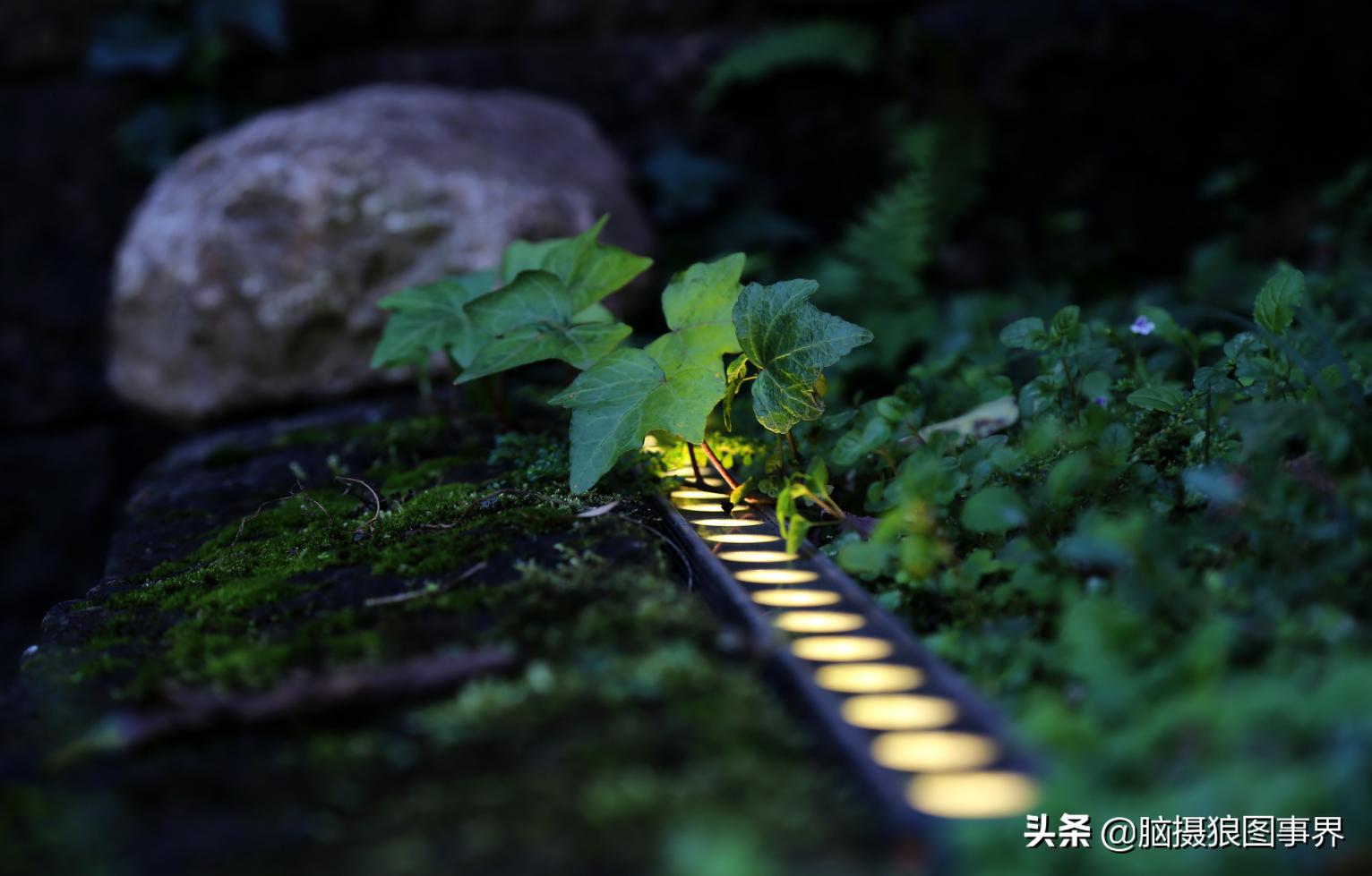 后期修图的技巧和方法,拍照后期修图技巧