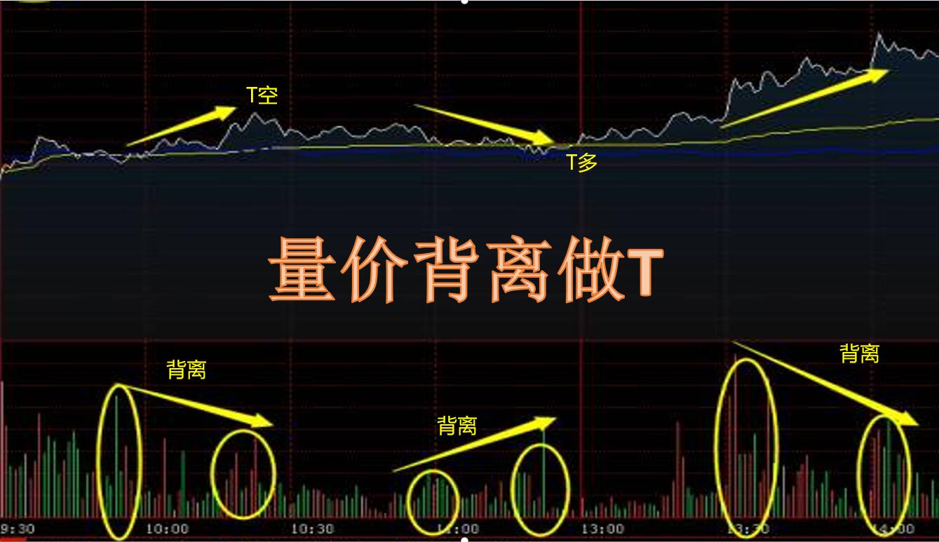 股票如何做t+0技巧,股票做t+0的技巧