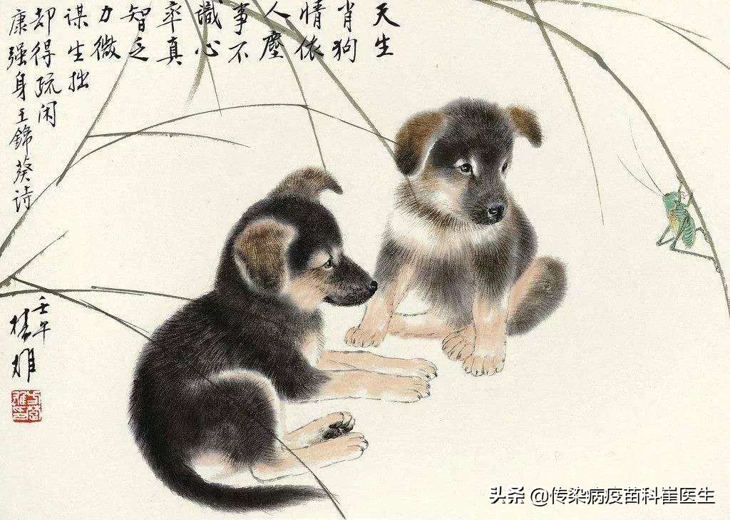 被猫咬伤了轻微出血会有事吗,猫没有狂犬病抓出血了会传染吗