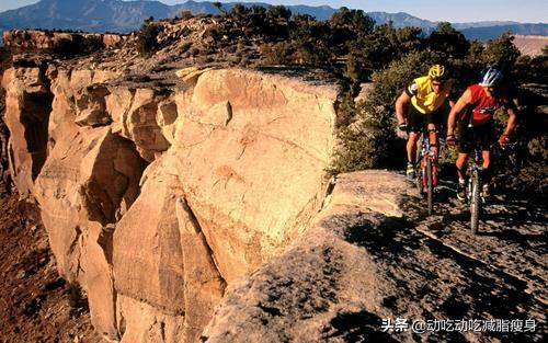上班族适合骑什么自行车,山地骑行和公路骑行