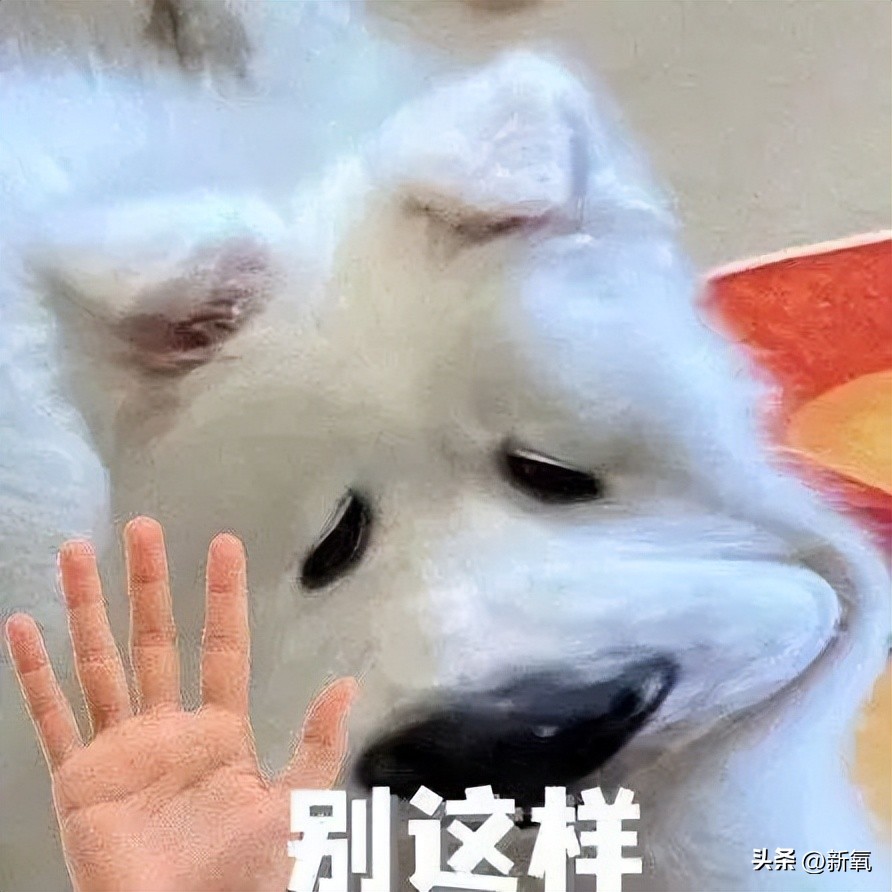 牛姐回春了!阳过之后何时可以开始锻炼?