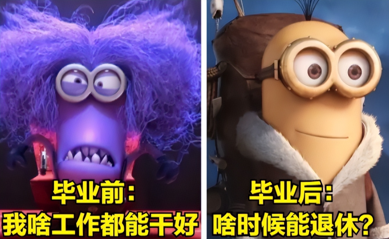 上学和毕业变化搞笑图,大学生用梗图实力调侃毕业生