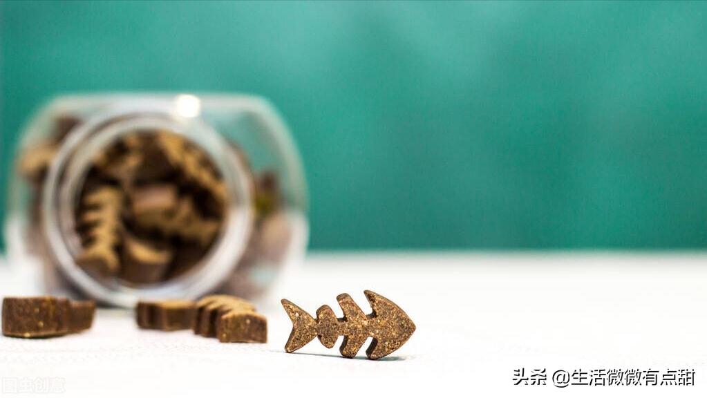 疫情后女生做什么创业好,疫情后适合女生的创业项目