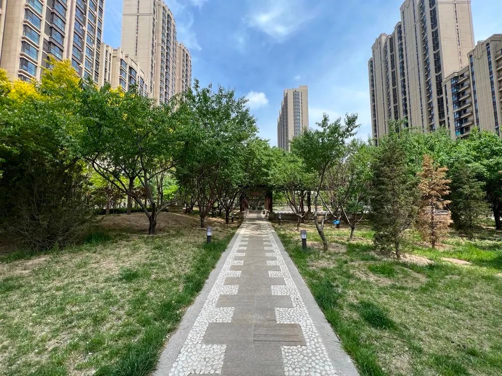 谁是影像机皇,谁才是手机机皇