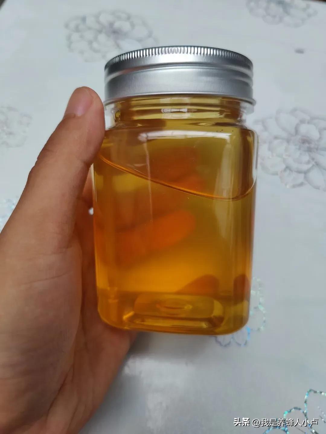 你知道世界上有多少种昆虫吗,你知道世界上有多少种果子