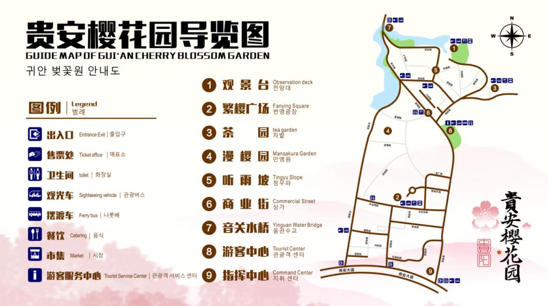 贵阳最大的樱花园,贵阳贵安新区樱花园