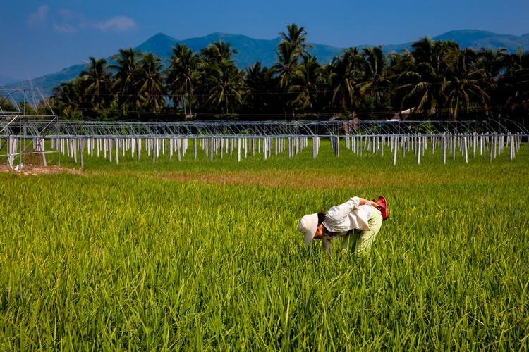 贫困地区农业发展现状,扶贫农业发展前景