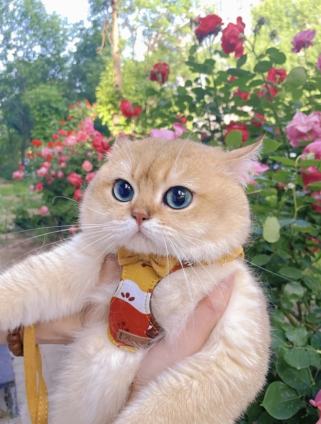 女生个性签名文案,渣男个性签名文案