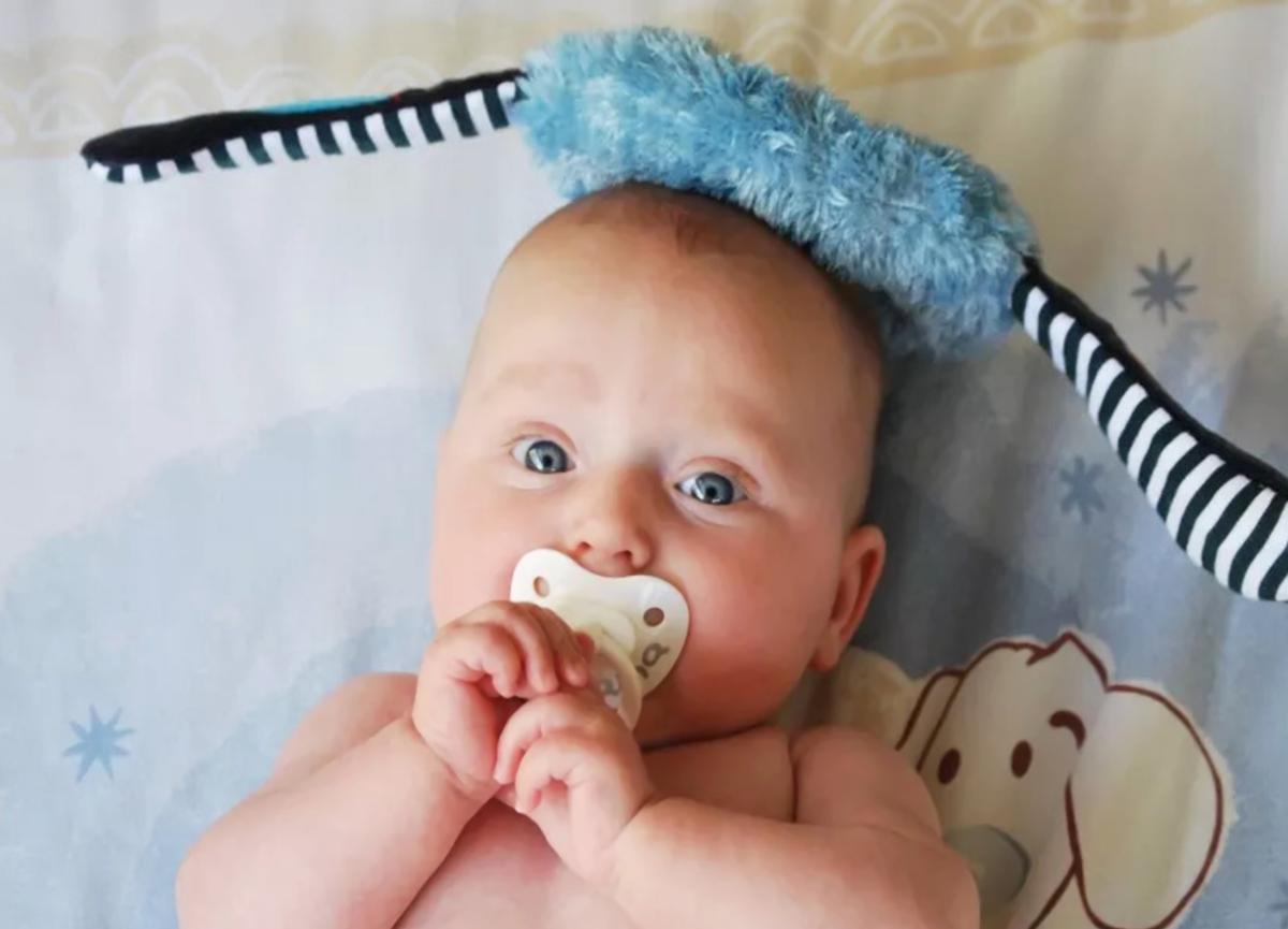 宝宝爱吃纸类的东西是怎么回事,宝宝喜欢吃纸危害