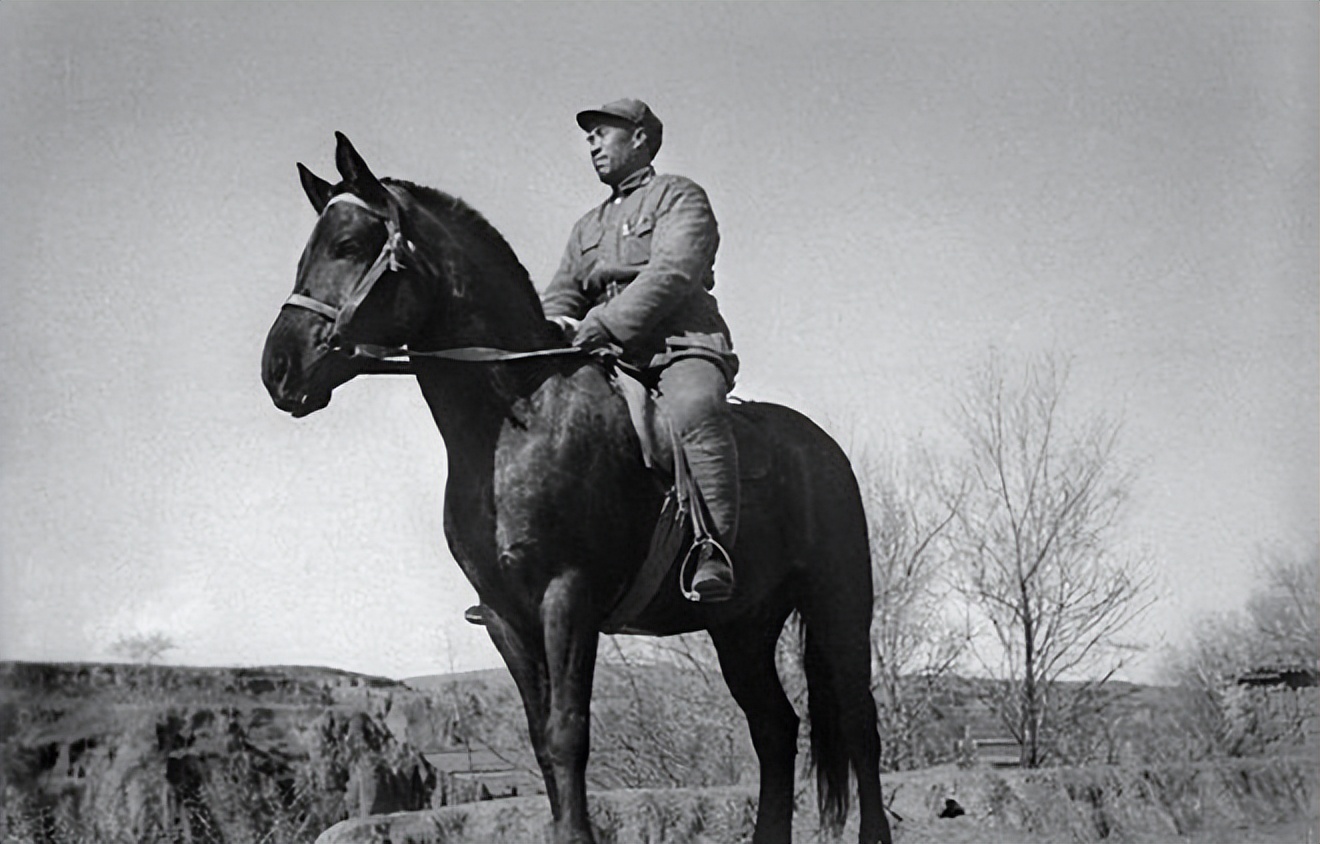 从和尚到皇帝朱元璋传奇的一生,少林寺武僧的传奇故事