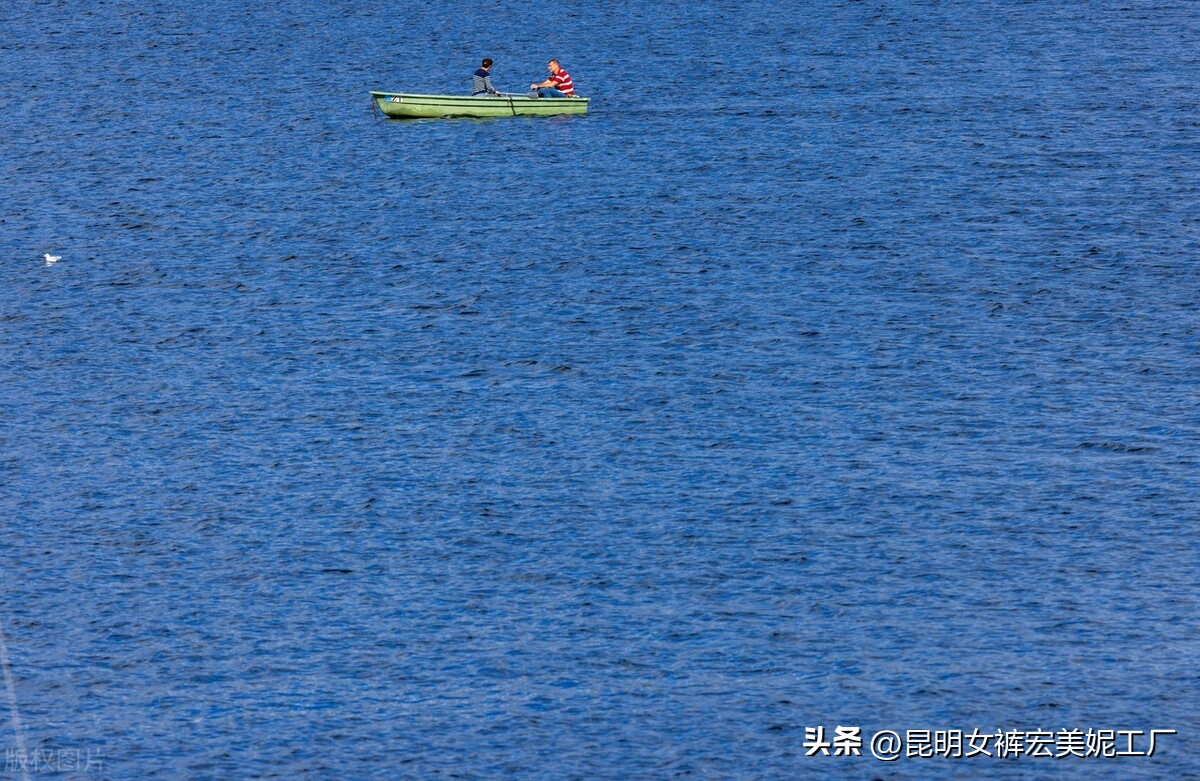 自媒体时代催生出很多新的行业,自媒体下一个风口会怎样