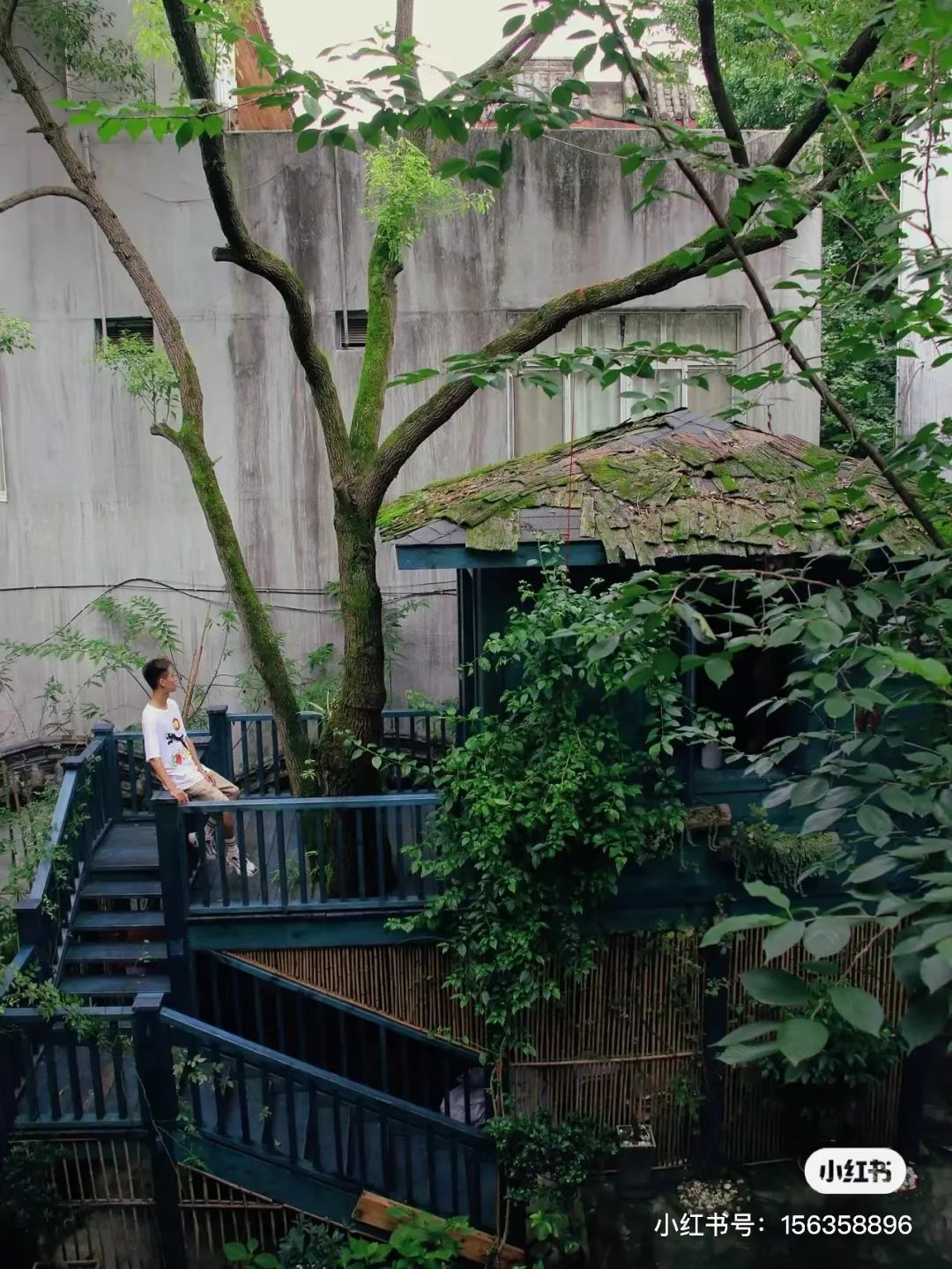 躲进山里民宿,躲在深山老林的民宿